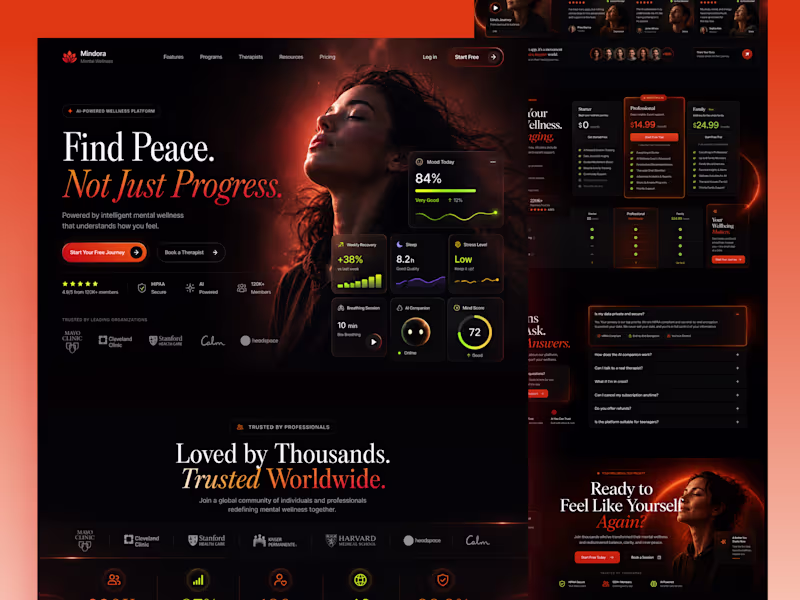Cover image for Mental wellness products often promise