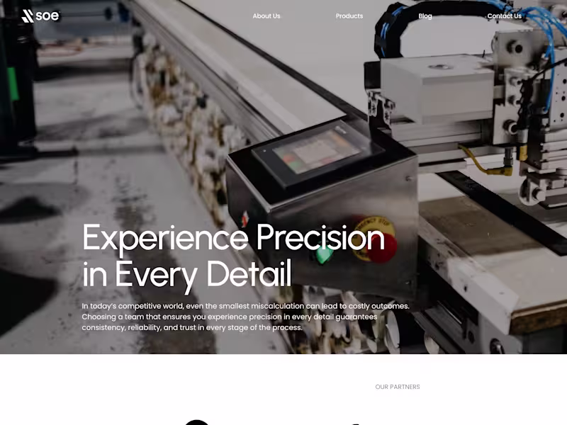 Cover image for WordPress Website Development | Shades