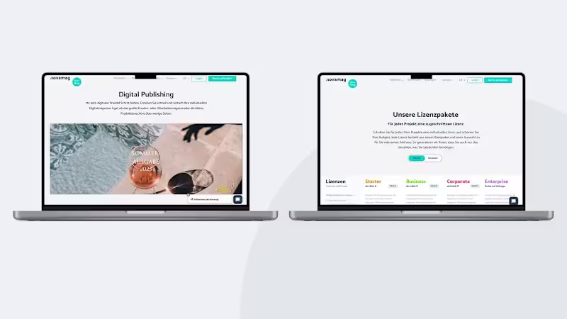 Cover image for Business Dynamics and Digital Products — Redesign of Novamags We