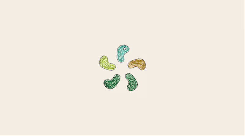 Cover image for Bosanona Brand Identity