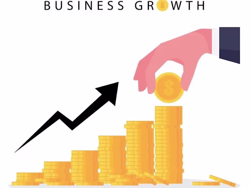 Cover image for Project management for MOBIGROW (DIGITAL/MOBILE FINANCE)