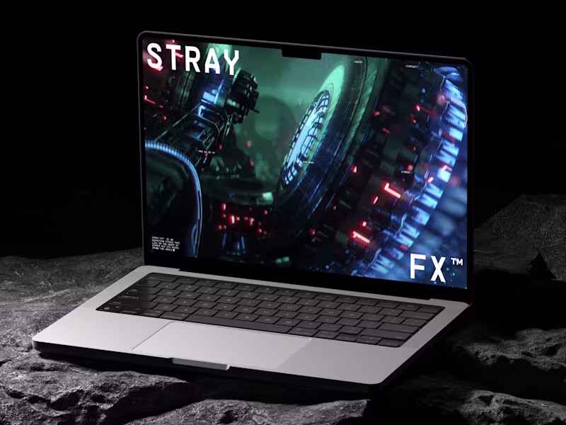 Cover image for Stray FX 