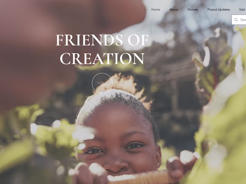 Cover image for Web Designer