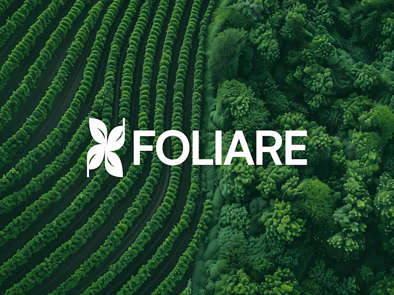 Cover image for Express brand design for FOLIARE. A more human and intention...