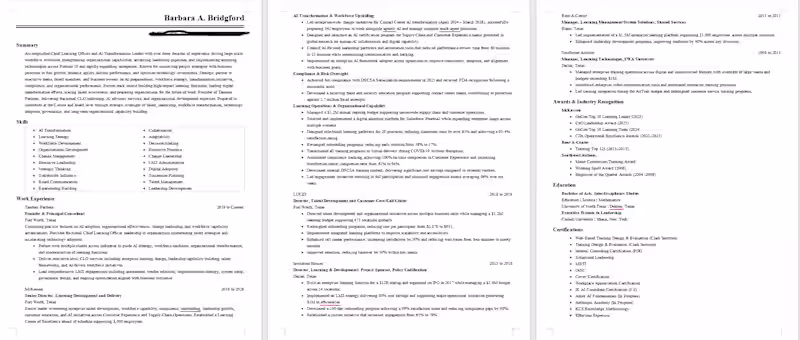 Cover image for Developed a modern executive resume