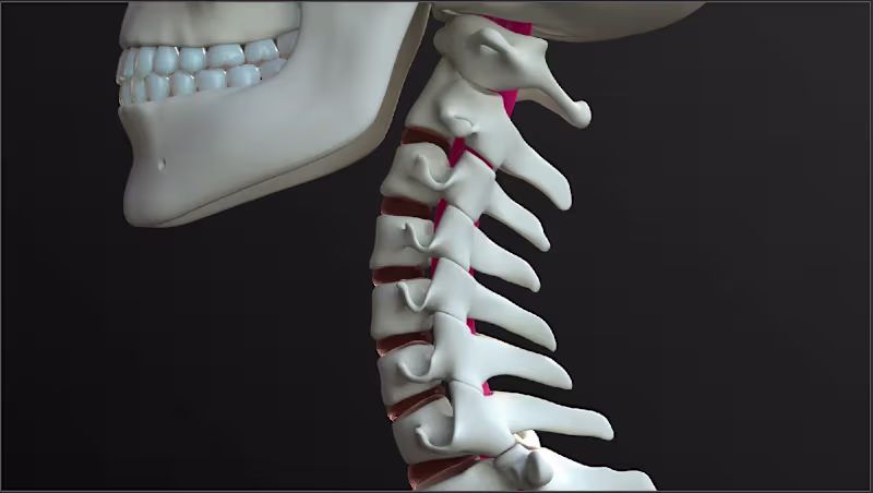 Cover image for This project presents an academically accurate 3D simulation...