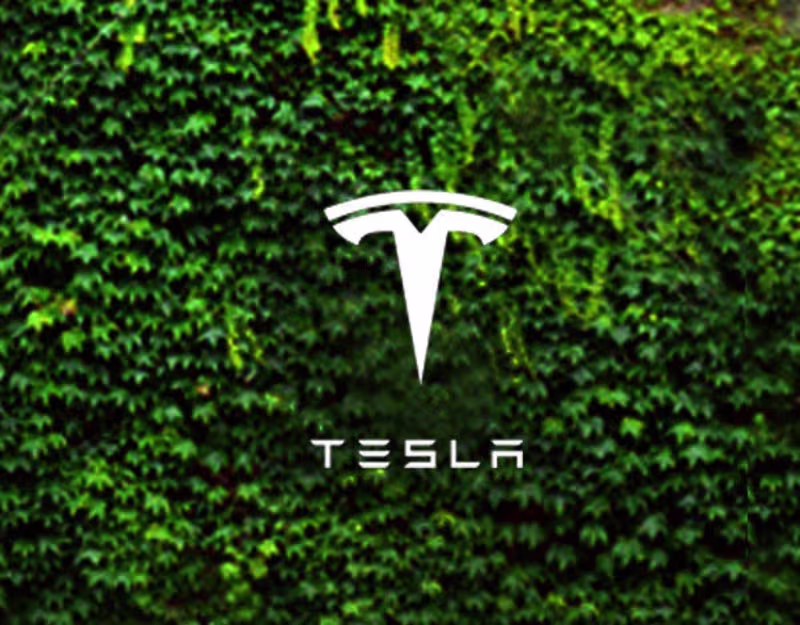 Cover image for Tesla