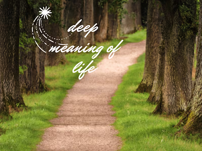 Cover image for Perspectives on Existence and Meaning