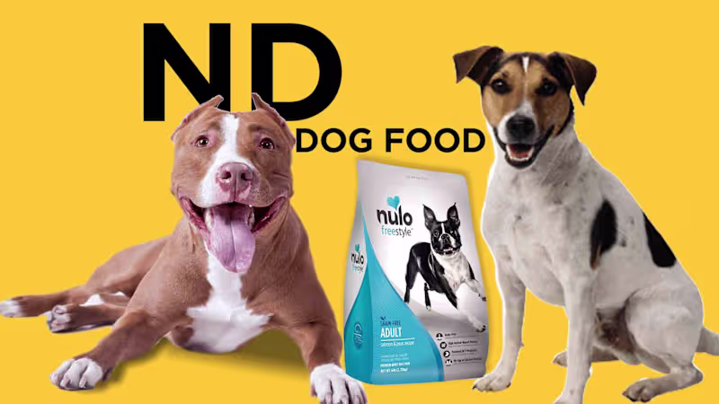Cover image for N D Dog Food