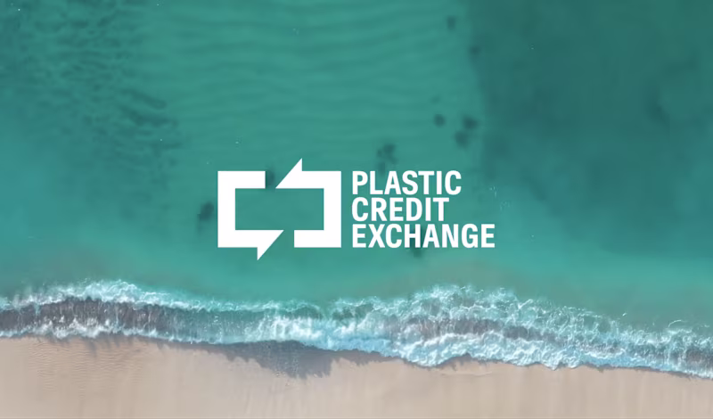 Cover image for Plastic Credit Exchange: Brand Identity