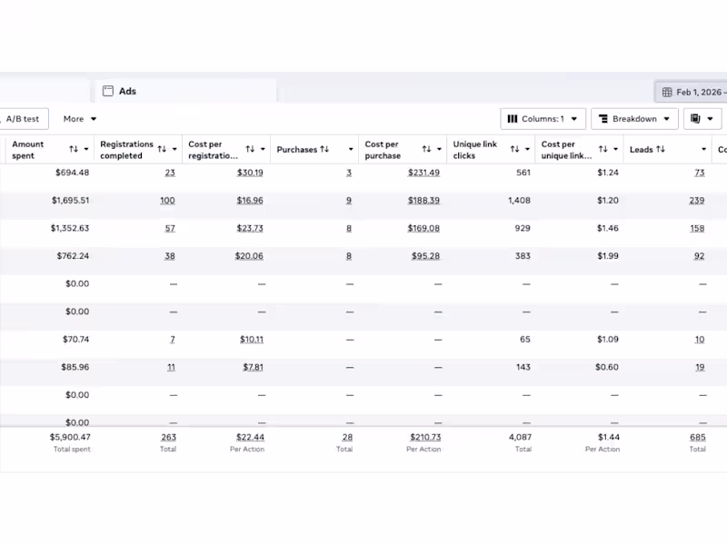 Cover image for Launched and managed Facebook Ads