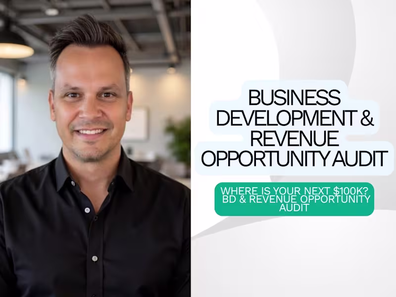 Cover image for Business Development & Revenue Opportunity Audit