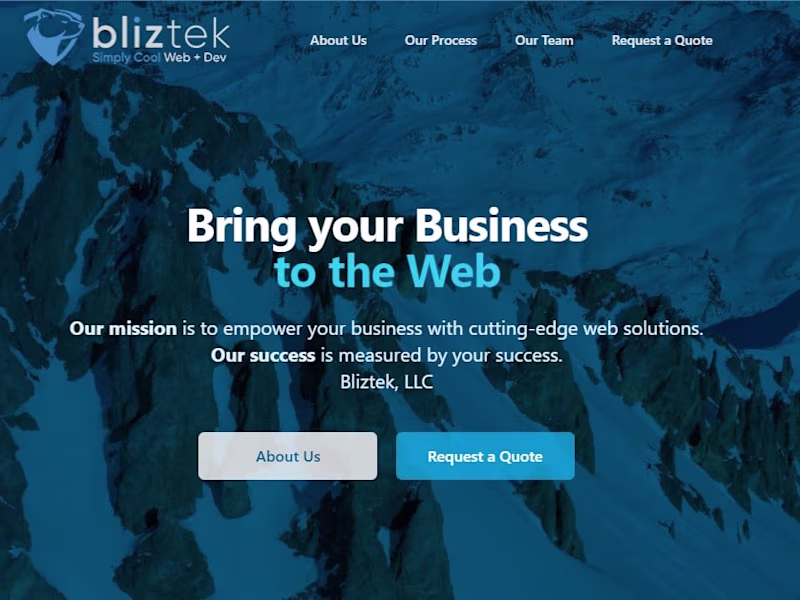 Cover image for Bliztek Website