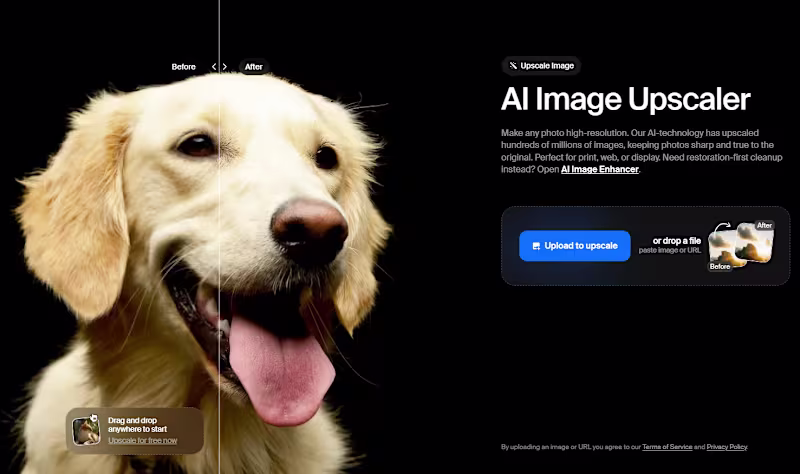 Cover image for AI Full-stack Development for Generative AI Studio - Krea