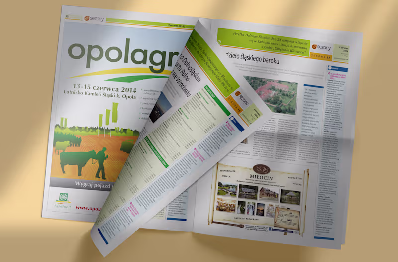 Cover image for Newspapers and magazines designs. Developing and publishing