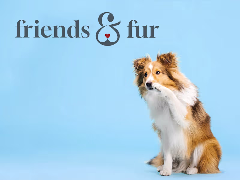 Cover image for Friends & Fur Logo Development