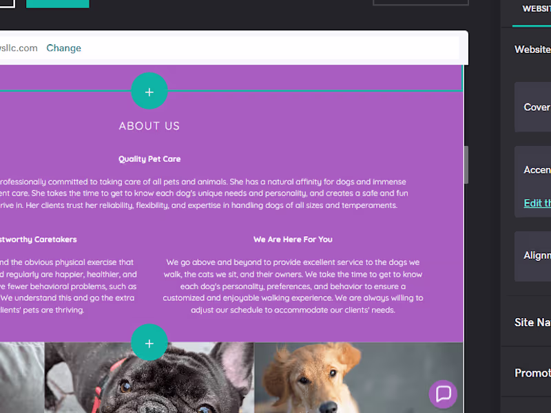 Cover image for Pawsnpaws llc Business management 