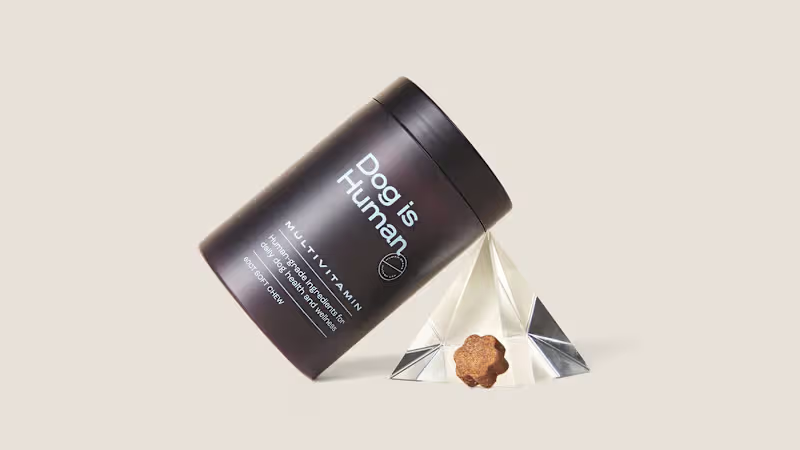 Cover image for Dog is Human | Packaging