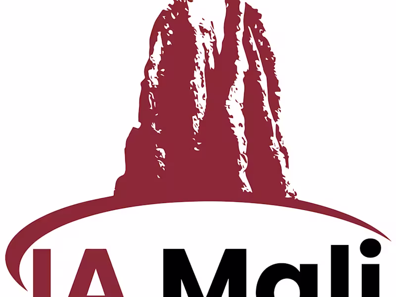 Cover image for IA Mali est une plateforme innovante qui s’est donnée pour miss…