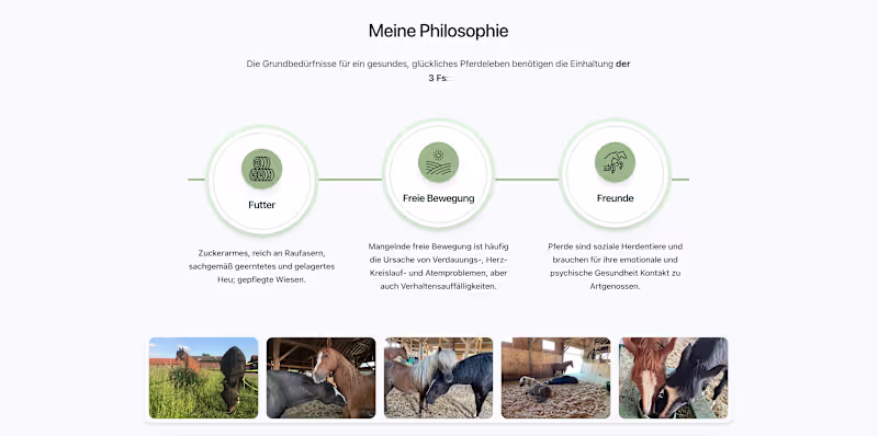 Cover image for Horse Nutritionist Website