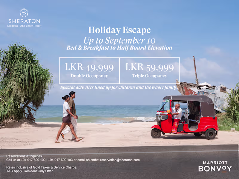 Cover image for Artwork I did for our August Summer Holiday Campaign