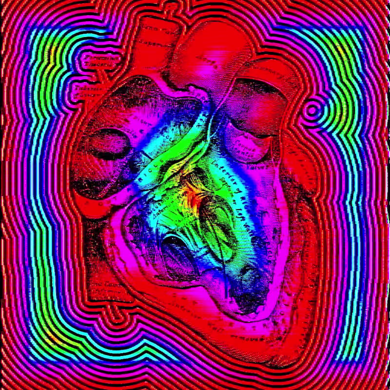 Cover image for These pieces were originally made