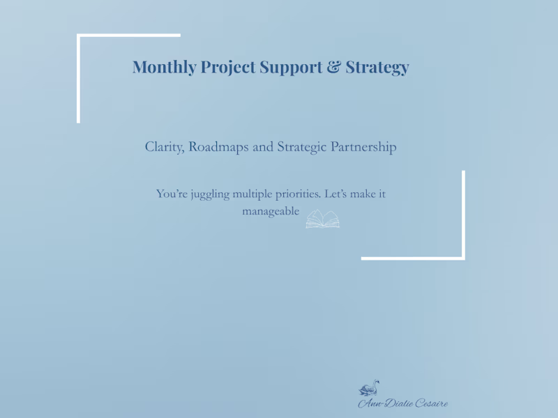 Cover image for Monthly Project Support & Strategy