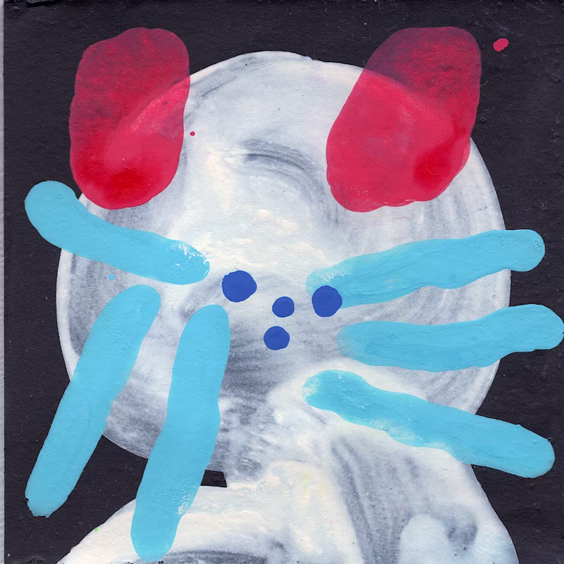 Cover image for Paintings: Art Showcase