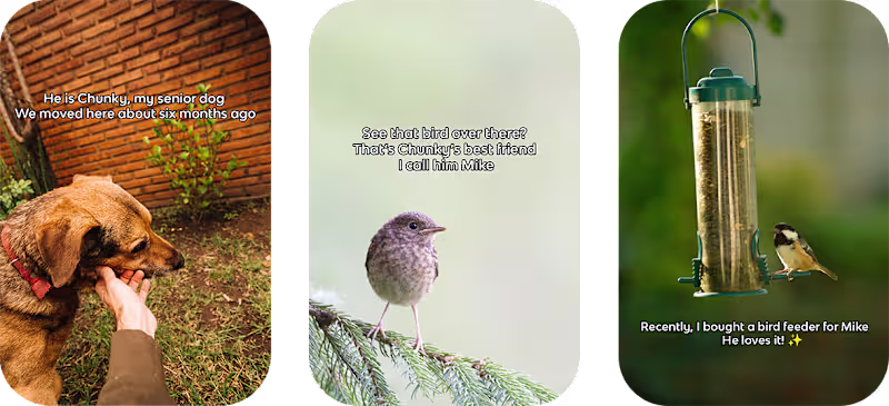 Cover image for Short Stories for Social Media (Image/Video)