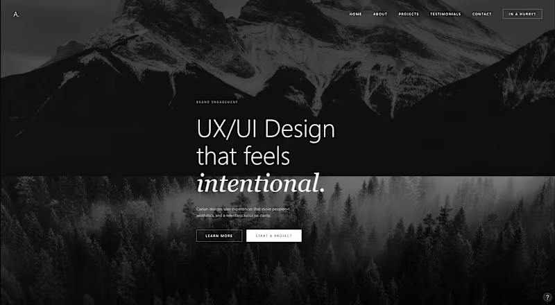 Cover image for I design and build Website that solves a business/user problems 