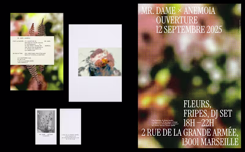 Cover image for Mr. Dame x Anemoia