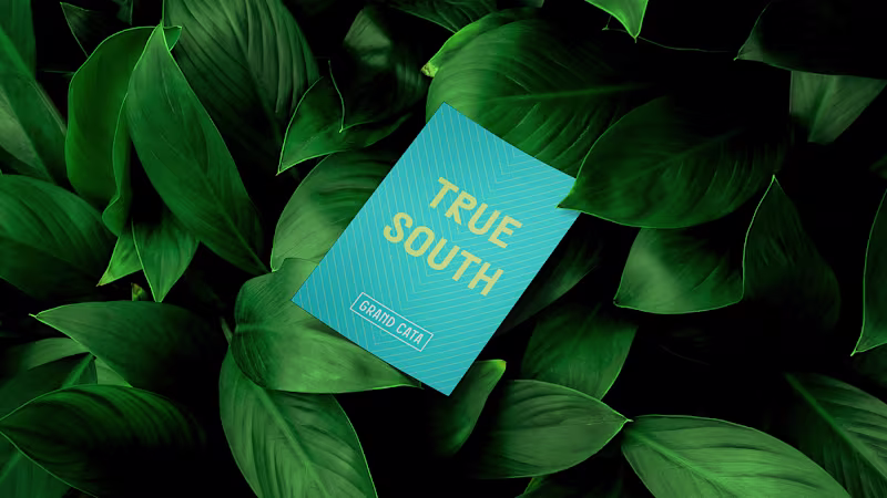 Cover image for Grand Cata  ✕  Brand Identity