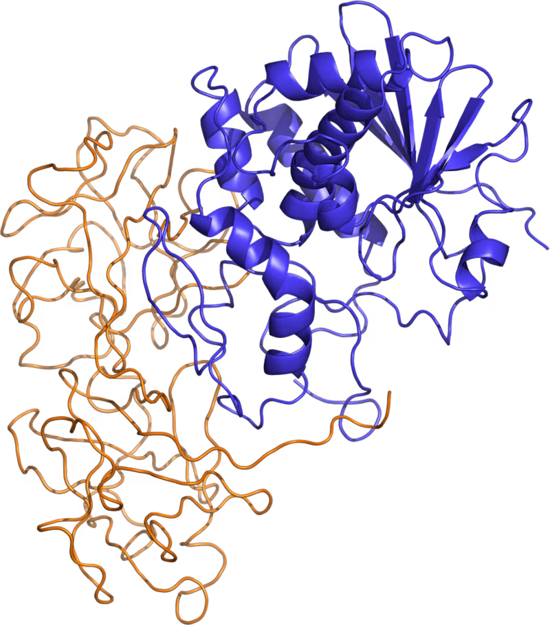 Cover image for Universal Ricin Detection Model