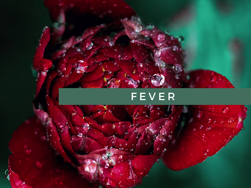 Cover image for Fever