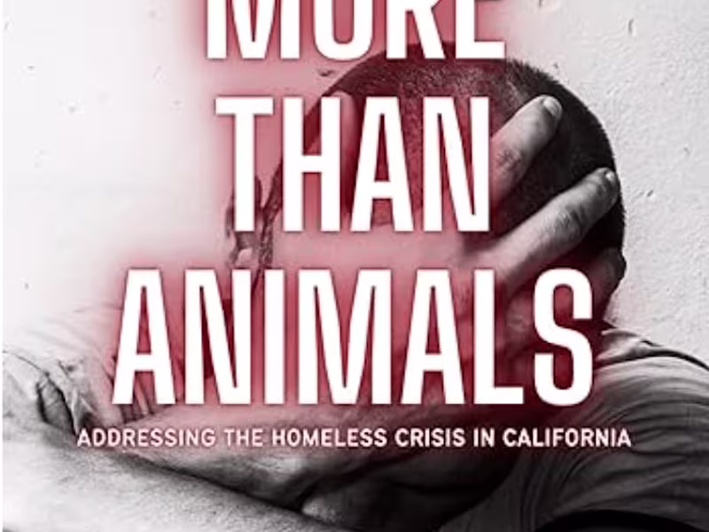 Cover image for Social Issue Research & Clear Audience‑Focused Content