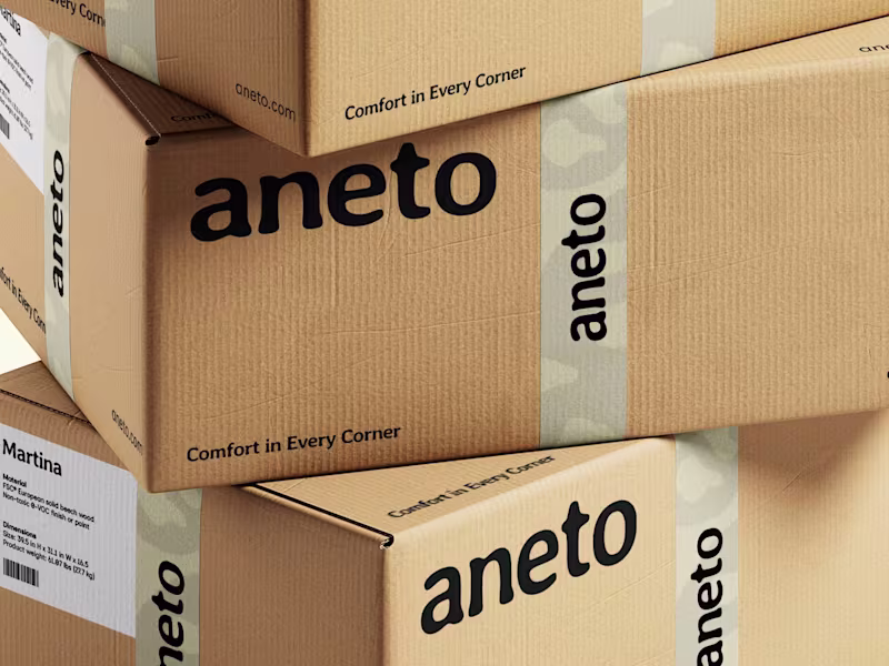 Cover image for Aneto Brand Identity