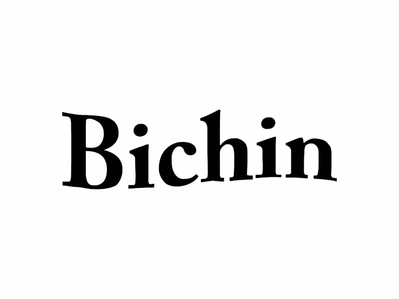 Cover image for Bichin
