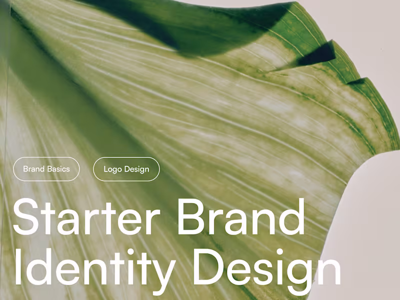 Cover image for Starter Brand Identity Design
