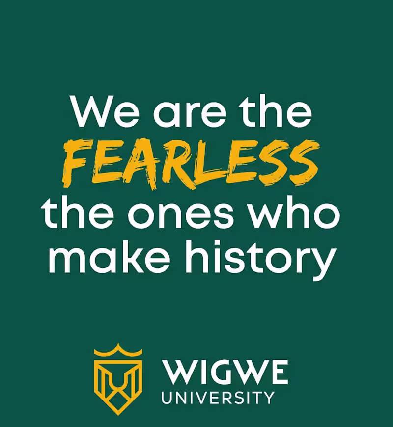 Cover image for Wigwe University - We the