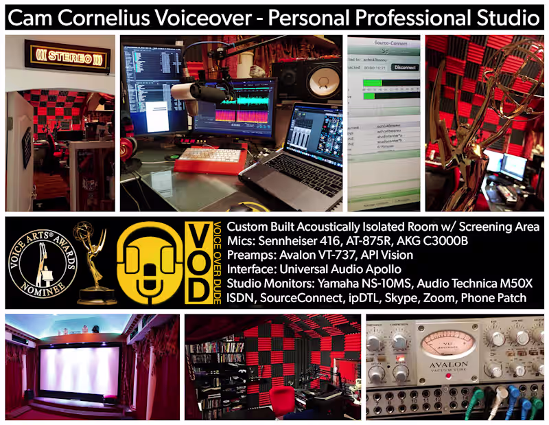 Cover image for Voice Acting