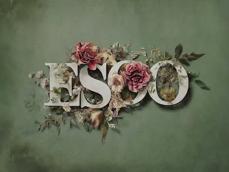 Cover image for EstateSalesofOregon.com Branding + Online Identity