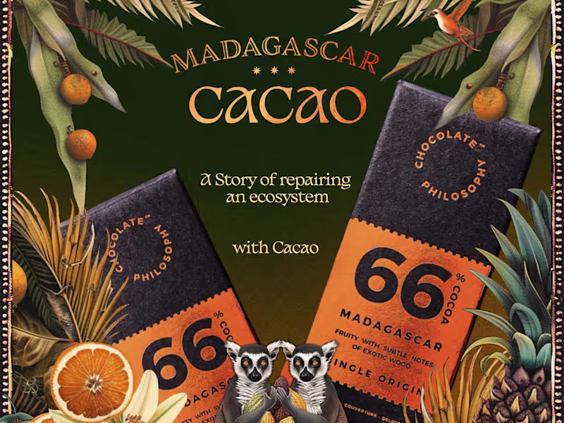 Cover image for Brand Identity - Chocolate Philosophy