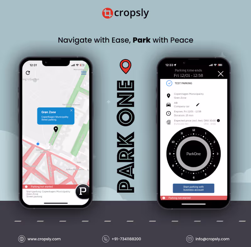 Cover image for ParkOne: A Danish success story