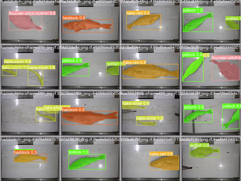 Cover image for AI-Boosted Fish Discard Chute (Research Paper)