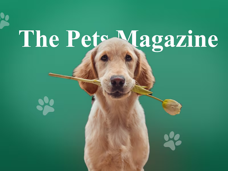 Cover image for Blog Website Design