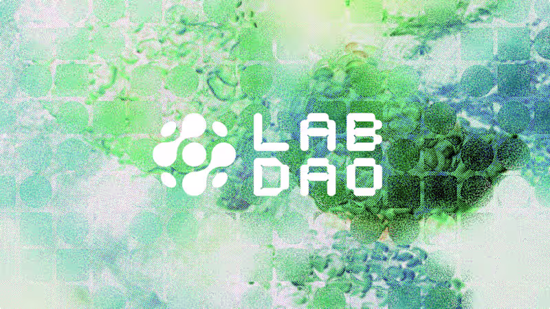 Cover image for LabDao Brand Identity