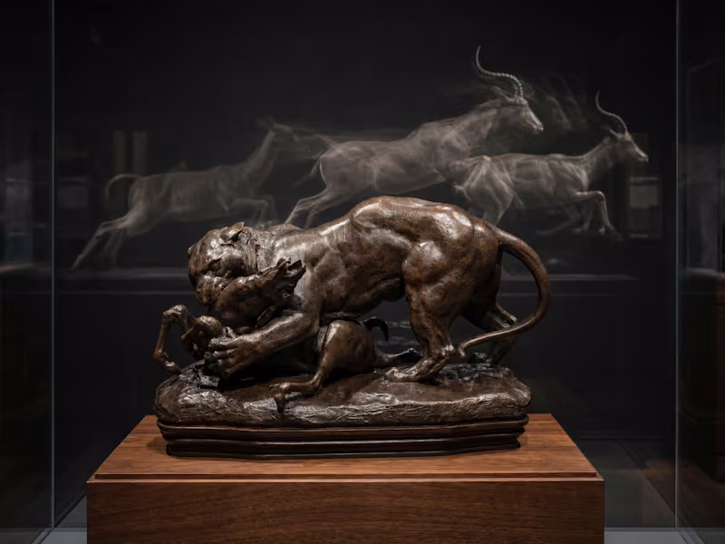 Cover image for THE ANIMAL THAT KNEW
What if