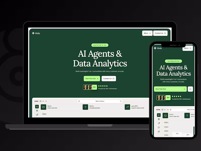 Cover image for Mula Website Design and Development