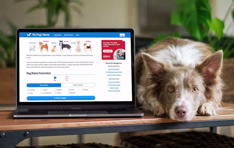 Cover image for My Dog's Name - Dog Name Search Engine