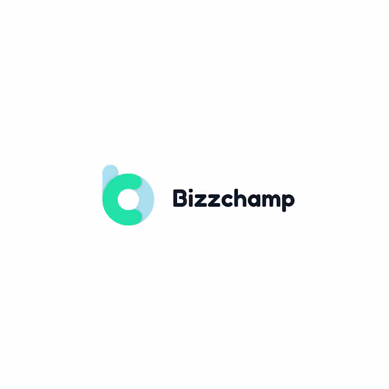 Cover image for BizzChamp LOGO+ Colours & Fonts for website | Visual identity 